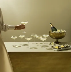 Champagne Coupe