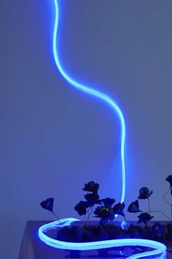 FLEX TUBE, 5 M, BLUE