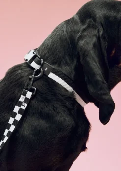 HAY Dogs Leash-Flat Check M/L-Black