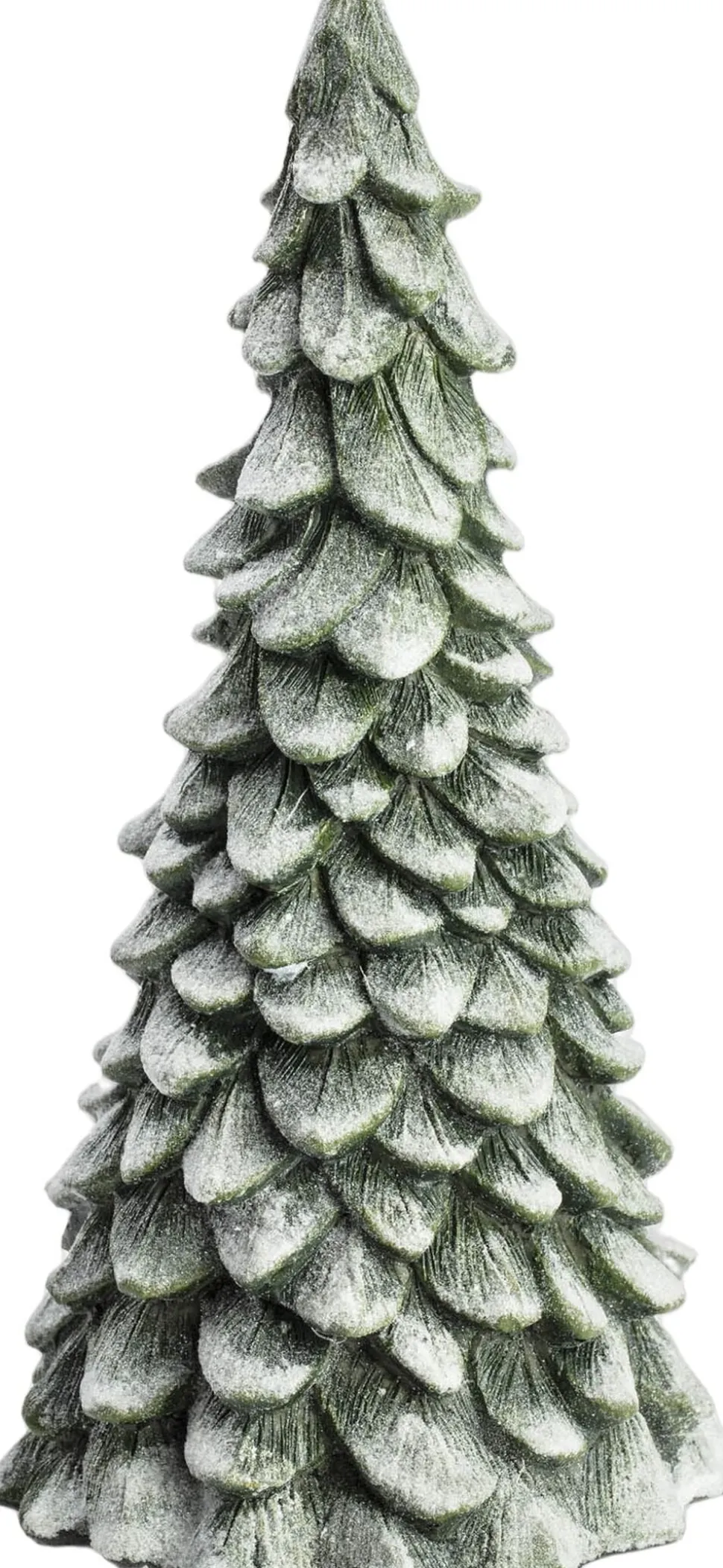 Julegranen, Grandam, stor