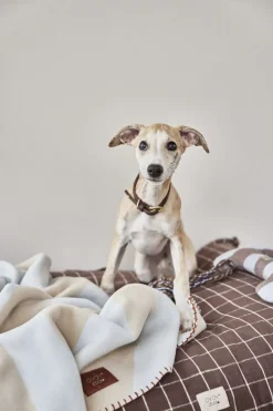 Kaya Hundetæppe - Lille