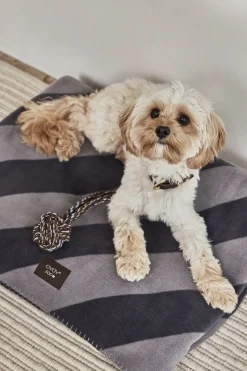 Kaya Hundetæppe - Medium