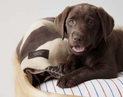 Kaya Hundetæppe - Medium