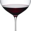 Riedel Superleggero Machine Burgundy Grand Cru 6425/16 - 1 stk