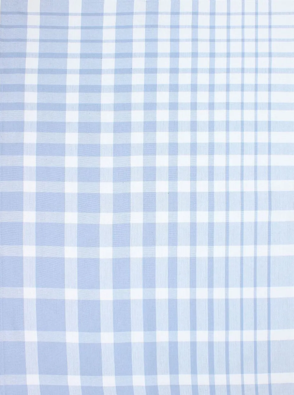 Tea Towels 50x70 cm ENZO - Check light blue