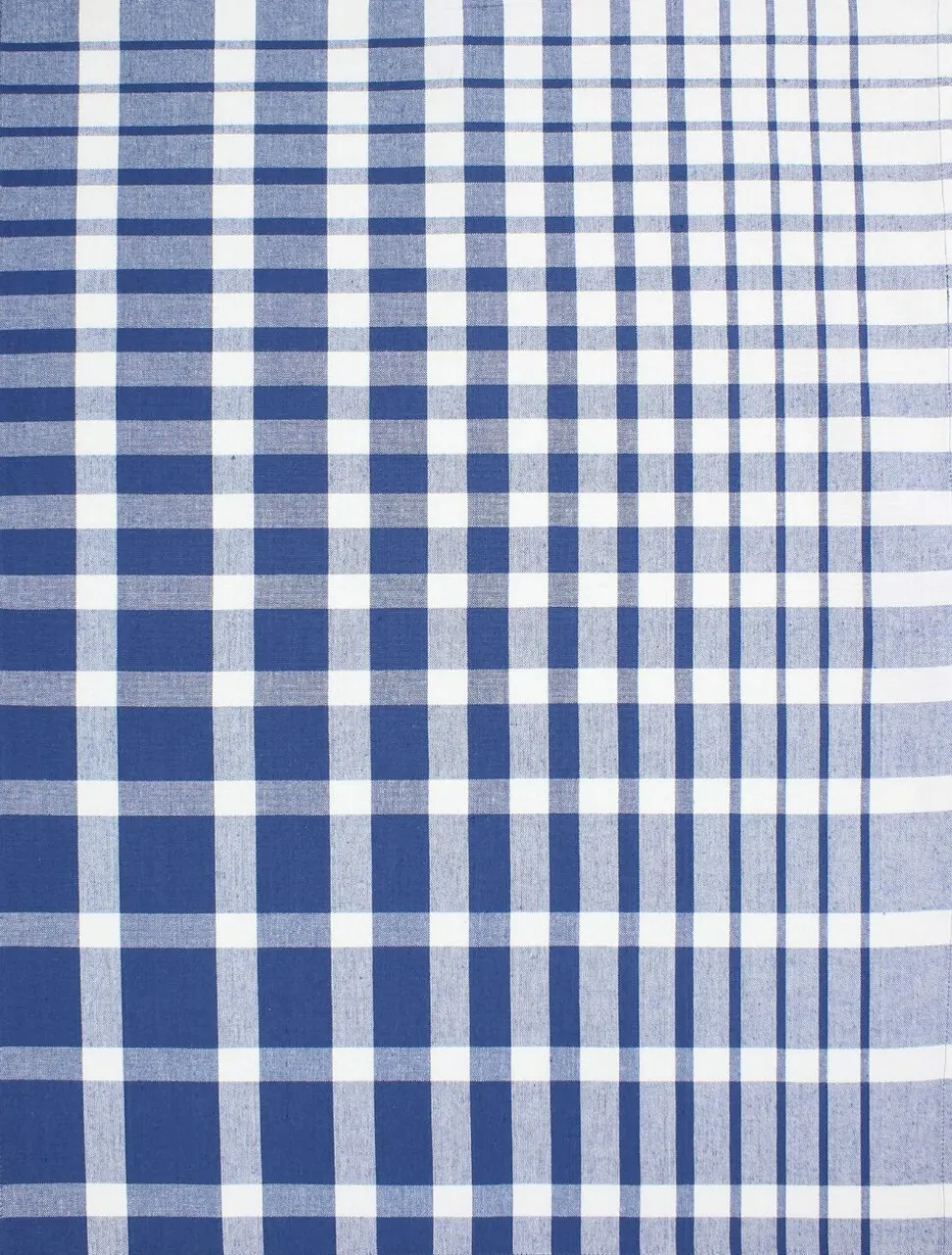 Tea Towels 50x70 cm ENZO - Check blue