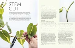 The Propagation Handbook