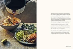 Vietnamese Made Easy